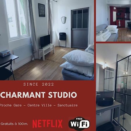 Charmant Studio Proche Centre Ville Et Gare Lourdes Exteriör bild
